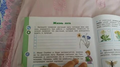 Мама сережи и нади побывала в научной