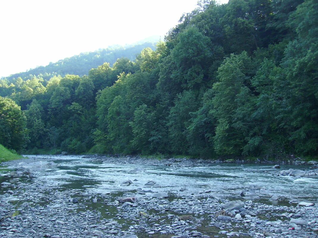 тиса река реки европы. тисса река. река черная тиса. тиса карпаты. тиса река реки европы.