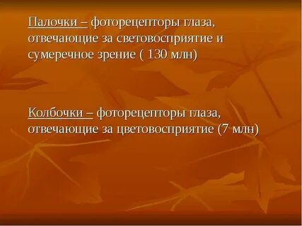 За зрение в сумерках отвечает ют 1