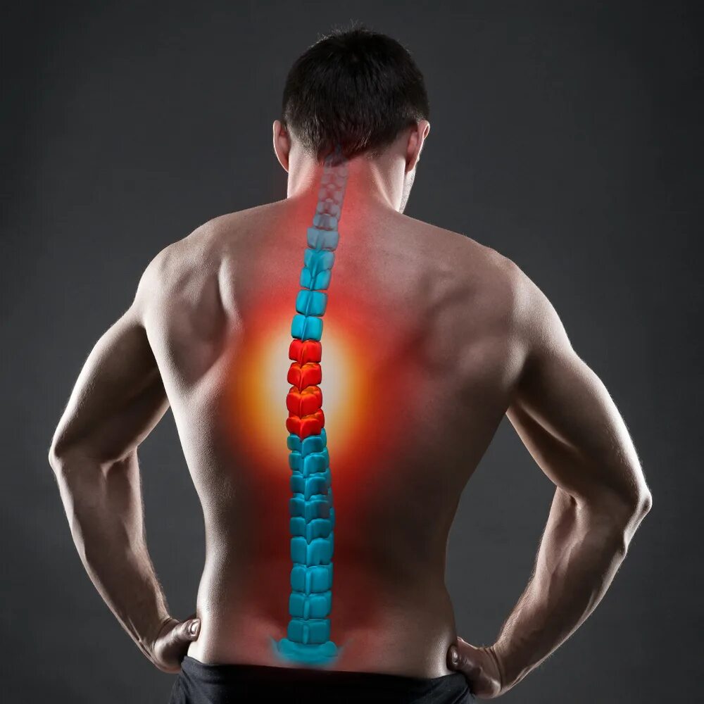 Спина может. Болит спина посередине. Болит позвоночник посередине спины. Болин в середине спины.