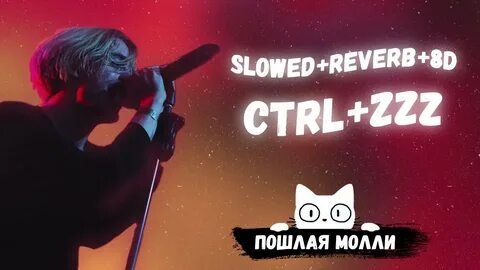 2013 текст молли