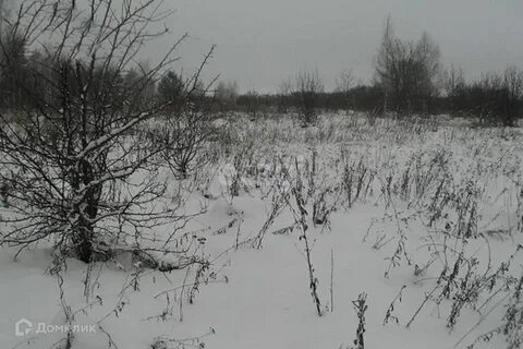 Зарастает на зиму