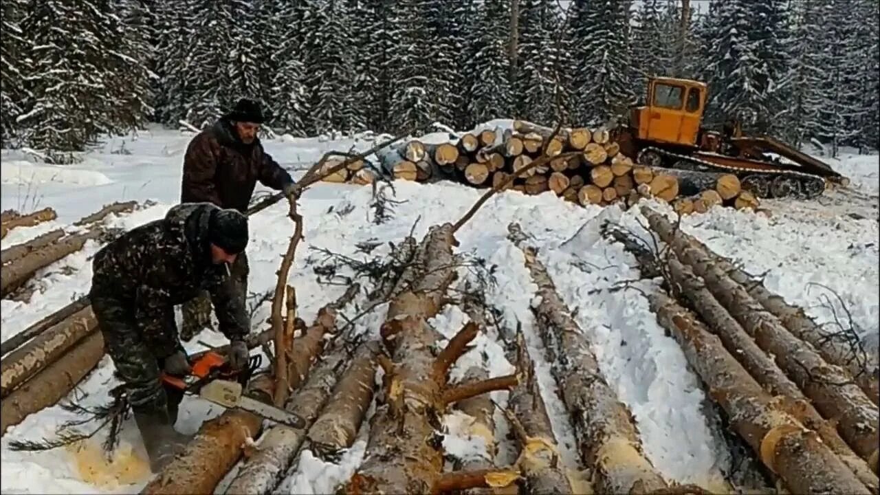 Как вытащить лес. Заготовка леса. лесоруб зимой. лесная делянка. заготовка леса зимой.