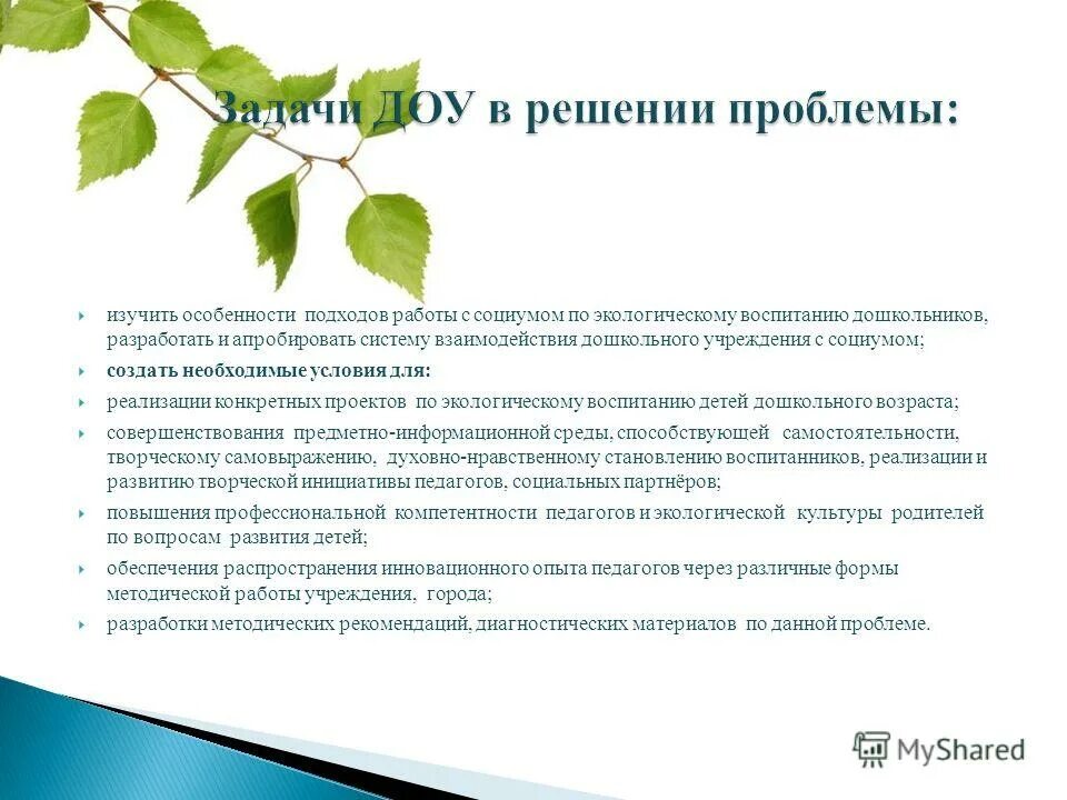 Проблемы которые решает доу. Инициативность в дошкольном возрасте это. Особенности профессиональной деятельности педагога-эколога. Развитие инициативы педагогов. Молодежные инициативы объект исследования.