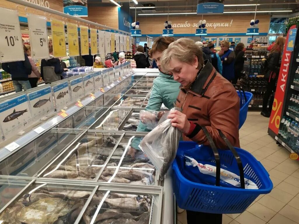 Курс сморгони. Курс сморгони