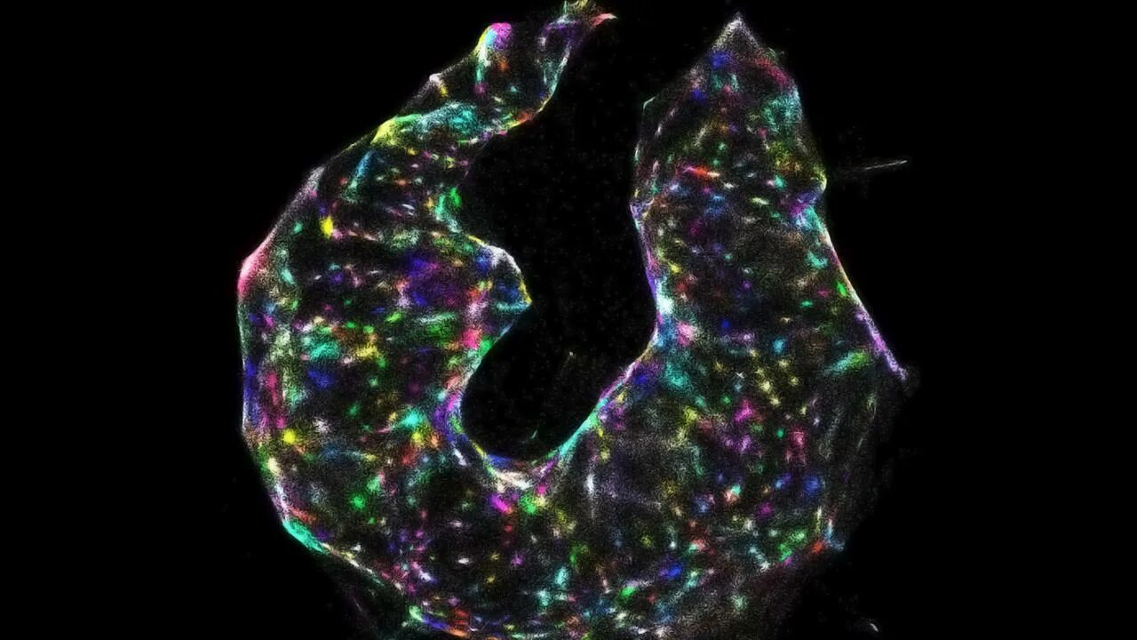 Фотонные технологии. Нейрон пуанкаре микрофотография. Dna in microscope. Нервная система человека нейрон. Компьютерное моделирование в химии.