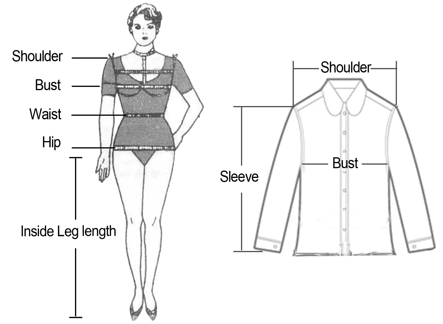 Should length. Shoulder в одежде. Shoulder размер одежды. Length в размере одежды. Bust размер одежды.