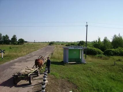 Грушевка дешевка