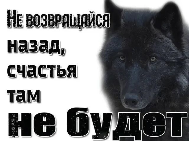 Возвратиться куда