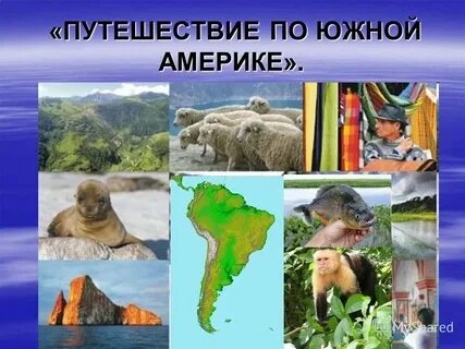 Северная америка путешествие география 7