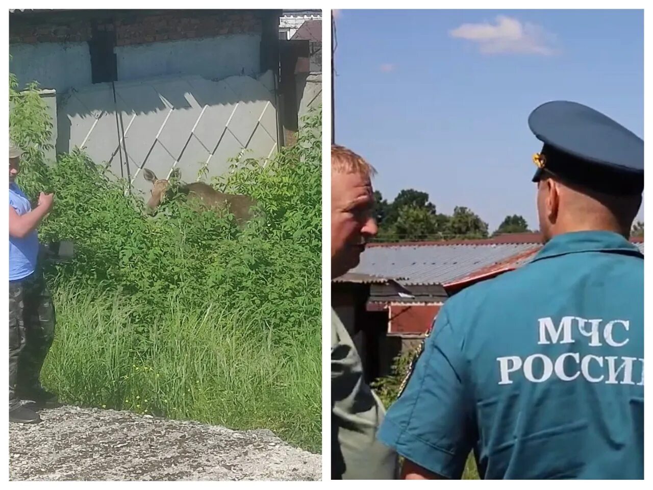 Владислав шульга таллий. Инженера осудили. Суд таганрог. Борщев вячеслав вадимович освобожден. Владислав шульга таганрог.