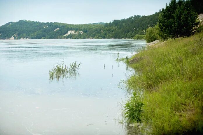 Село большая сазанка амурская область. Малая сазанка пляж. Малая сазанка амурская область. Озеро сазанка энгельс. Село большая сазанка амурская область.
