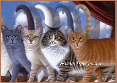 Песня 4 кошки