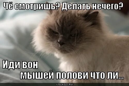 Что значит делать нечего. Картинки нечего делать. картинки когда нечего делать. тебе делать нечего. что делать если нечего делать.