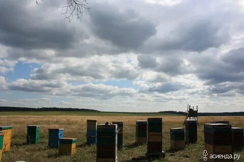 Успенка нехаевский волгоградской