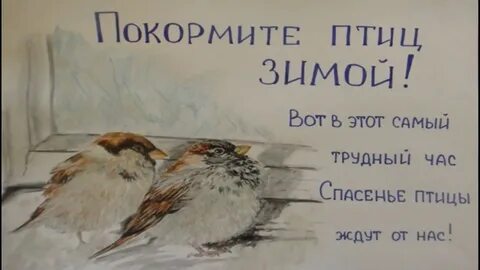Спаси птичку