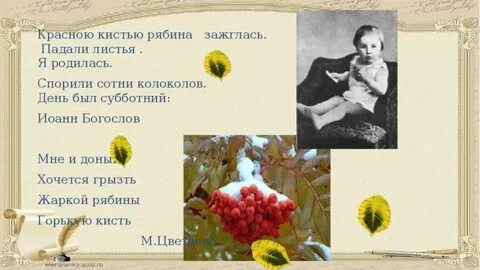 Анализ стихотворения цветаевой рябину рубили зорькою