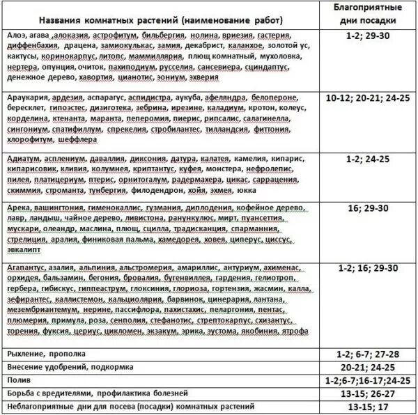Благоприятные дни посадки комнатных растений в ноябре. Благоприятные дни для комнатных растений. благоприятные дни для пересадки комнатных растений. благоприятные дни для посадки комнатных цветов. удачные дни для пересадки комнатных цветов.