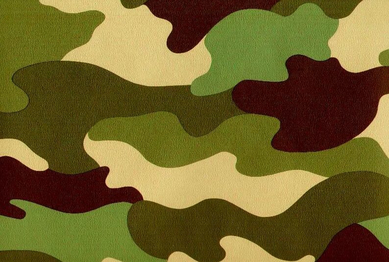Белый лист подойти к подъезду цвет хаки. Защитный цвет военной. фон защитного цвета. ткань защитного цвета. защитный цвет камуфляж.