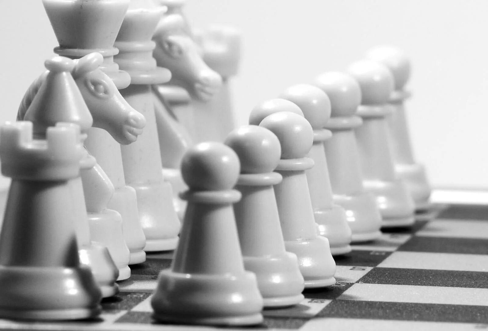 ладья конь ферзь resident evil. чесс кинг шахматы. шахматы черный король белый ферзь. шахматная королева и пешка. шахматы карпова стаунтон.