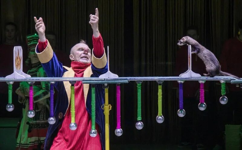 Воздушные гимнасты гии эрадзе. Коверный циркач 5 букв. Клоун в цирке. Новый коверный. Коверный клоун.