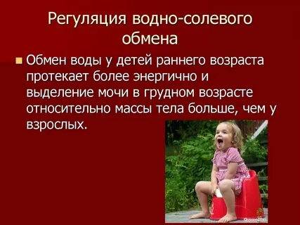 Механизм водно солевого обмена