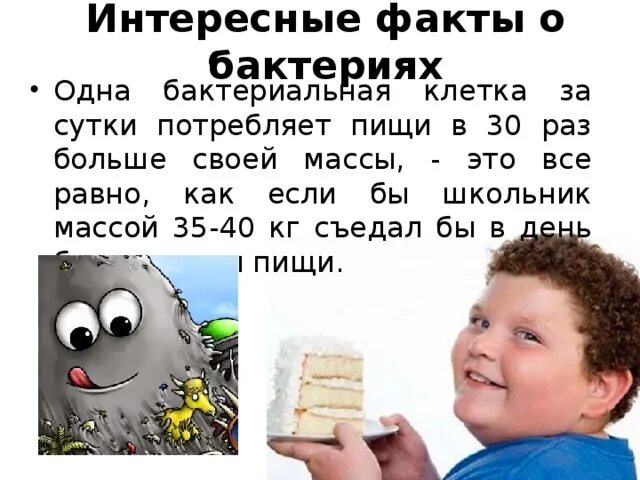 Факты о бактериях. Факты о бактериях 3 класс. Интересные факты о бактериях. 5 Интересных фактов о бактериях. Факты биология 8 класс