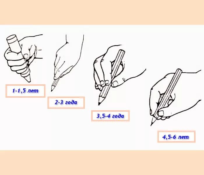 Первую нужно держать. Как научить ребёнка правильно держать ручку при письме. Как правильно держать ручку при письме ребенку. Как правильно держать ручку при письме картинка для детей. Как правильно поставить руку для письма ребенку.