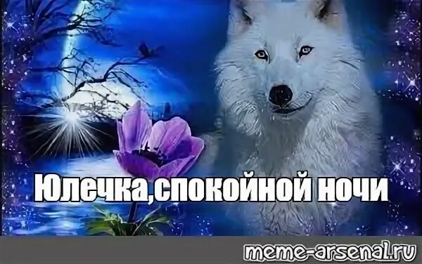Спокойной ночи родной. Спокойной ночи родная стая. Не зли волка. Спокойной ночи. Сладких снов любимая моя танечка.