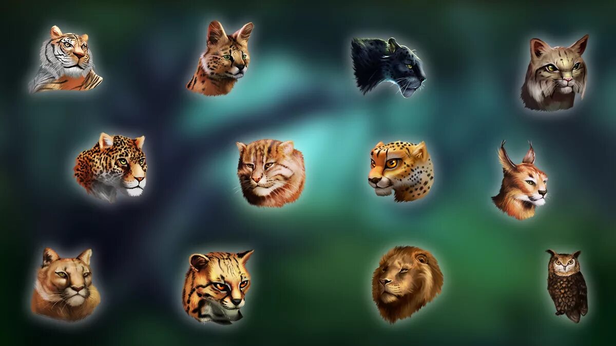 Вилд кат программа. Слоты ред тайгер. Игры дикой кошки. Big cat игра. Вилд кэт.