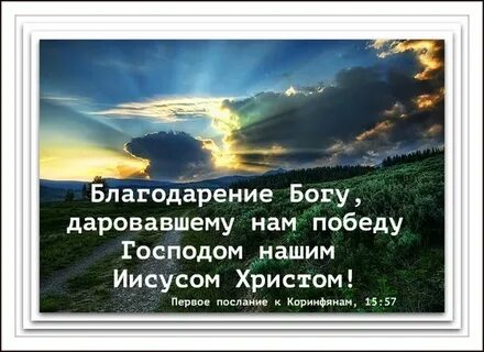 Любовь дарованная богом
