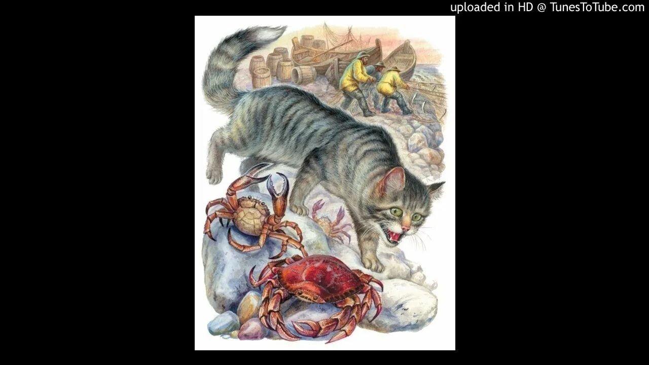 житков беспризорная кошка читать