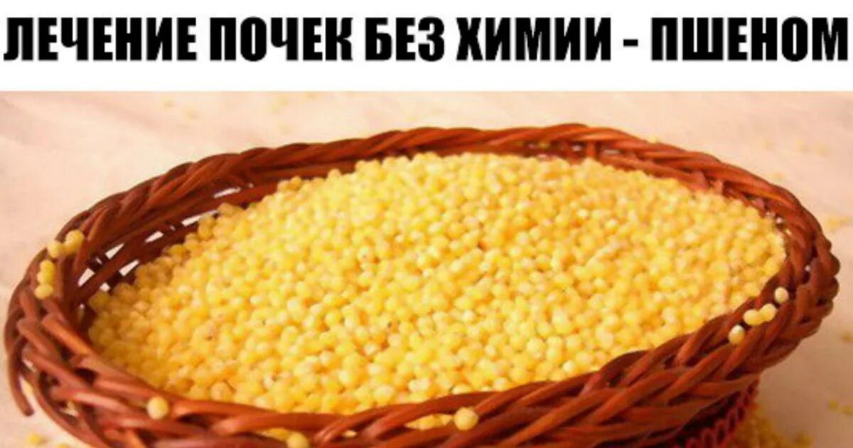 Пшено от камней. Почки вылечим пшеном. пшено для почек и мочевого пузыря. занятие с пшено. с днем пшенки.