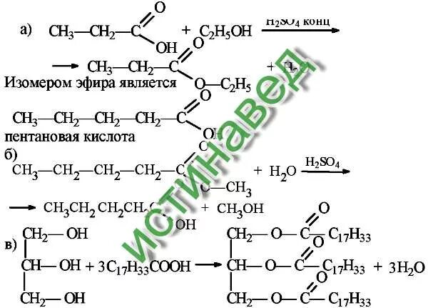 При щелочном гидролизе метилпропионата образуются. Гидролиз метилового эфира пропановой кислоты. Гидролизе метиловогоэфира пррпановрй кислоты. Метиловый эфир и пропановой кислоты реакция. Метиловый эфир пропановой кислоты кислоты.