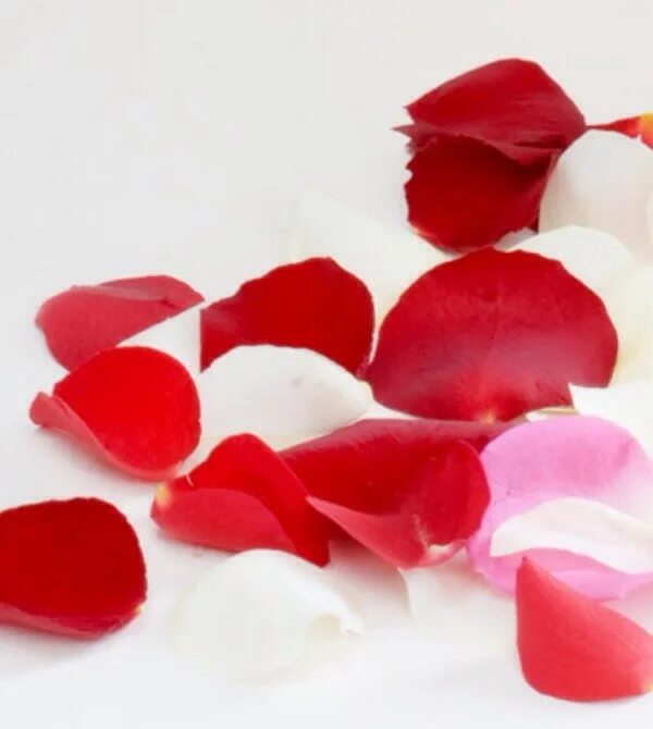 Почему лепестки роз. Лепестки роз. Красивые лепестки роз. Лепестки роз фото. Торт с лепестками роз.