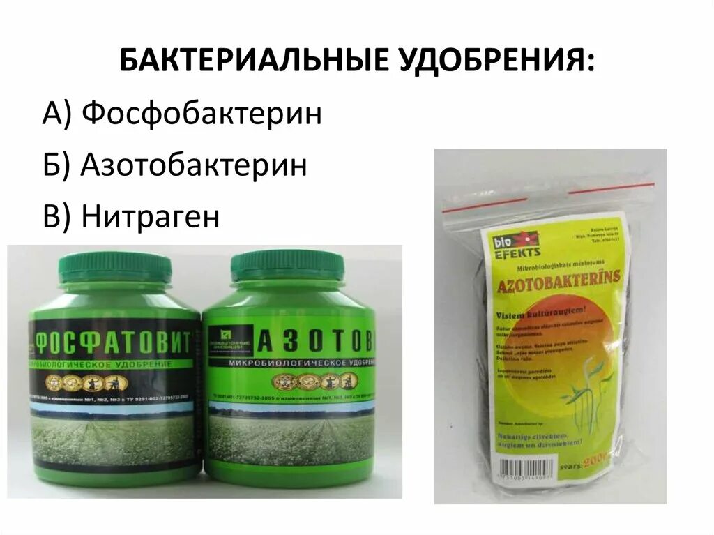 Использование бактериальных удобрений