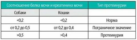 Мочевина это белок