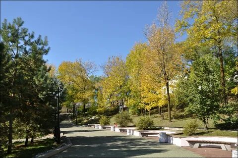Амурский парк снять
