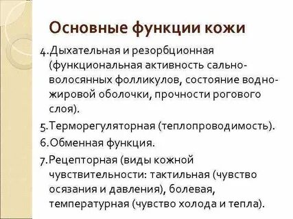 В чем проявляется дыхательная функция кожи
