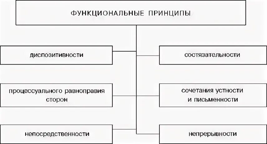 Функциональным принципом является. Функциональные принципы ГПК. Организационно функциональные принципы ГПП. Функциональные принципы гражданского судопроизводства.