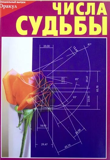 Читать журнал оракул март 2024г. Журнал оракул. Оракул спецвыпуск. Журнал оракул спецвыпуск. Специальный выпуск журнала оракул.