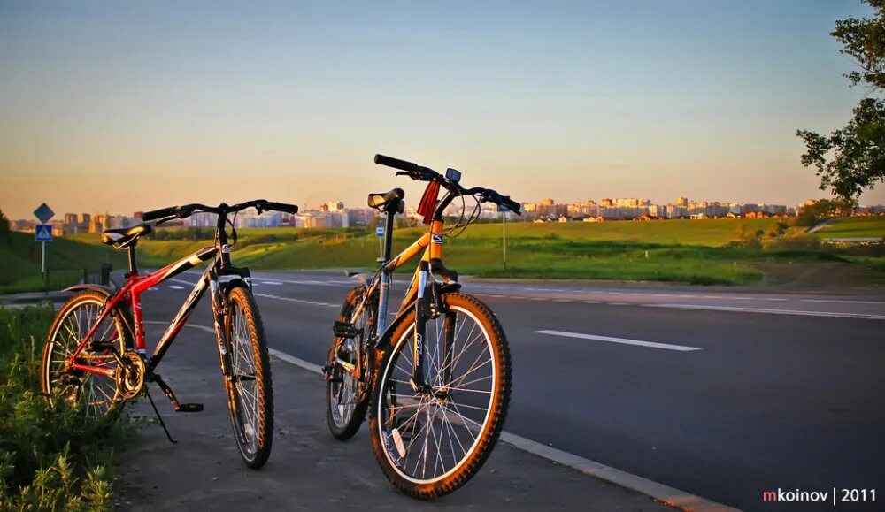 Велосипед польза и вред для мужчин. Велобаджо. Веларибо и Велобаджо. Польза велосипеда. Vital велосипед RSV детский.