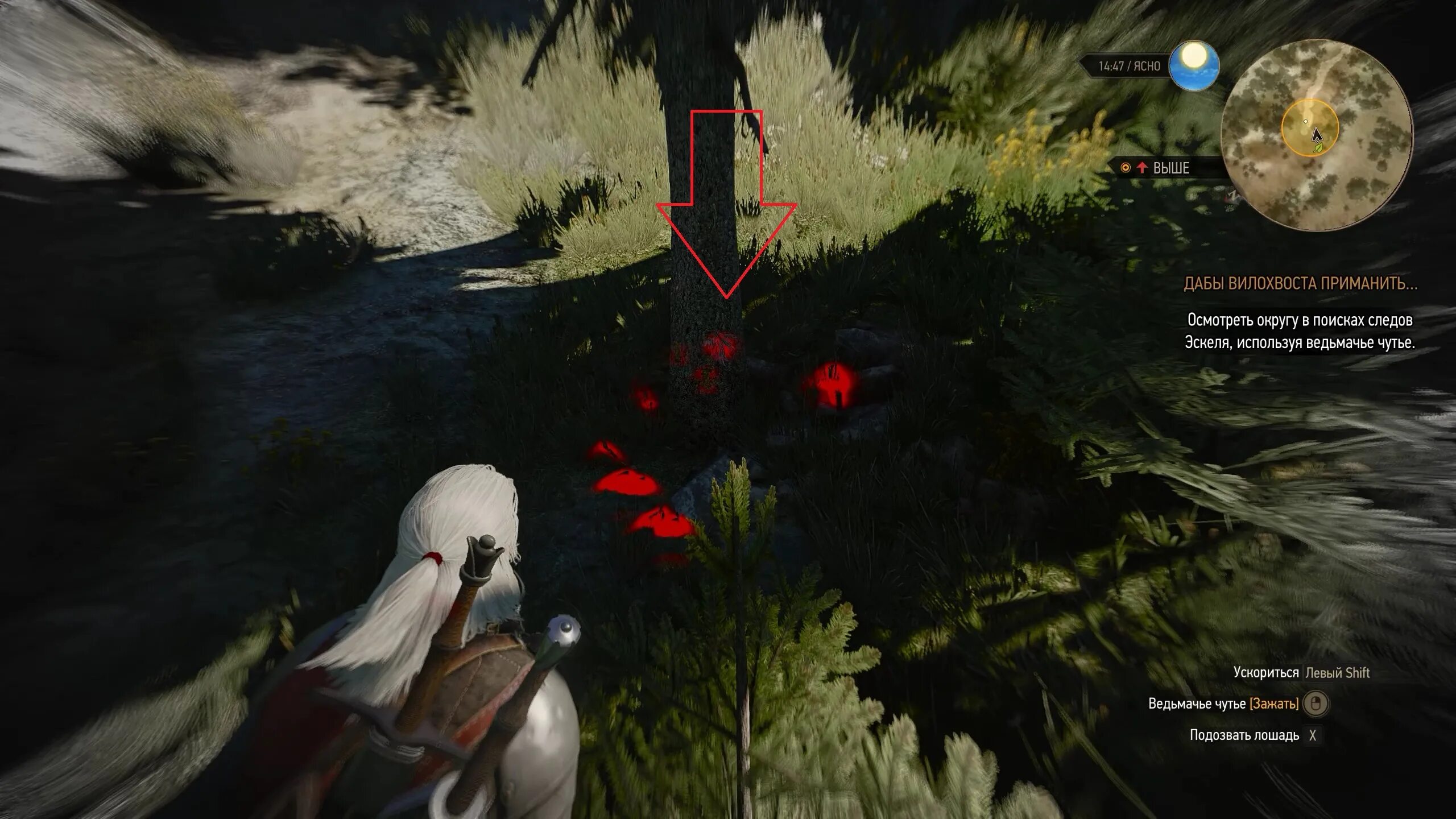 Ведьмак 3 вилохвост на карте. Ведьмак дабы вилохвоста приманить. Ведьмак дабы вилохвоста приманить. Дабы вилохвоста приманить. Ведьмак задание помехи.