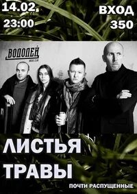Группа листьев