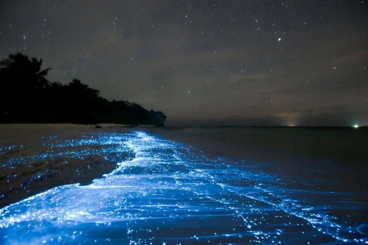 Остров Ваадху Мальдивы. Остров Ваадху Мальдивы светящийся планктон. Остров Ваадху Мальдивы светящийся пляж. Пляж Ваадху Мальдивы.
