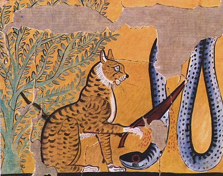 Кошек изображения древние