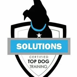 Top dog