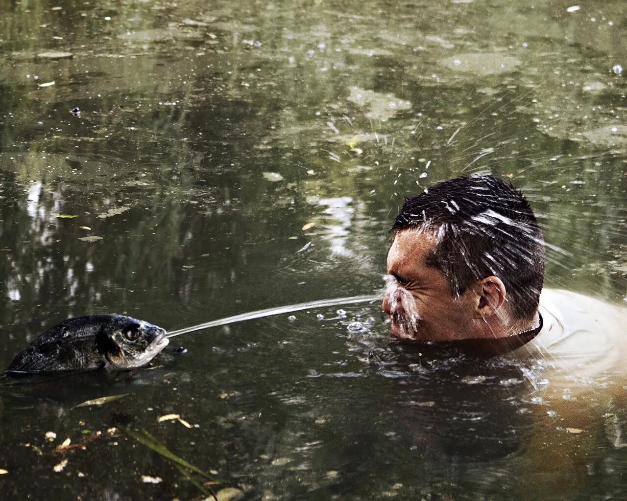 Про мужчину рыбы. Рыбалка под водой. Рыбы пьют воду. Вода рыбалка. Рыба возмездия.