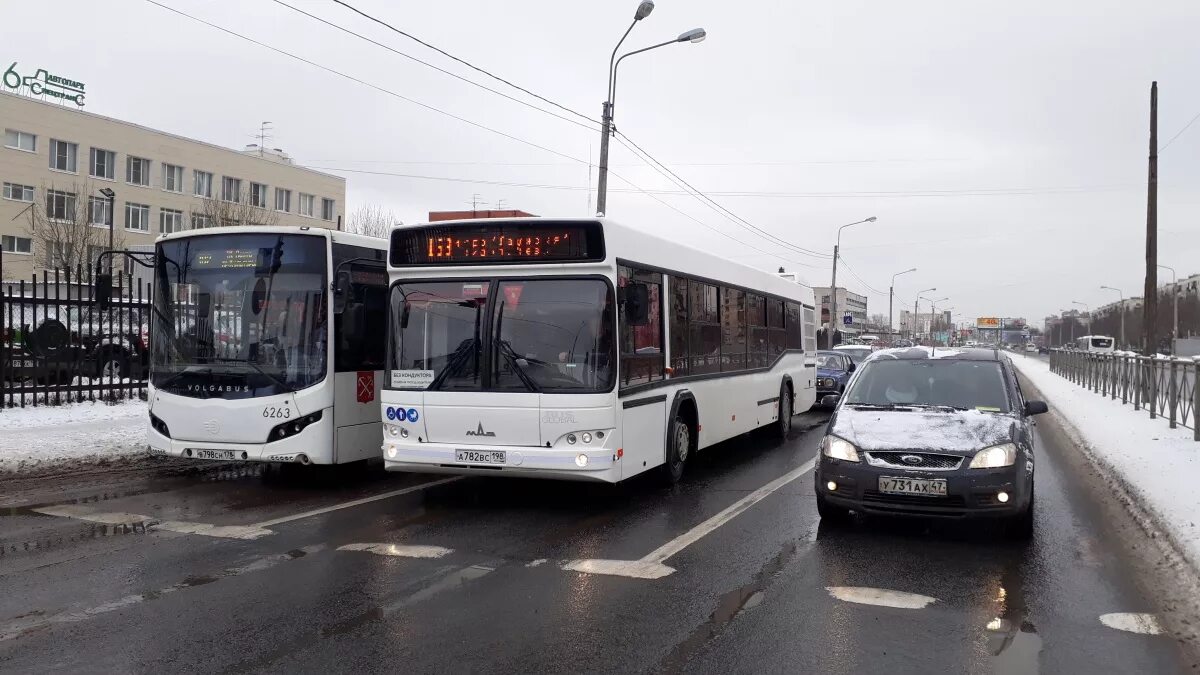 Остановки 198 автобуса спб. МАЗ-103.486 Колпино. Автобус 198. Автобус 486 СПБ. 198 Маршрутка СПБ.