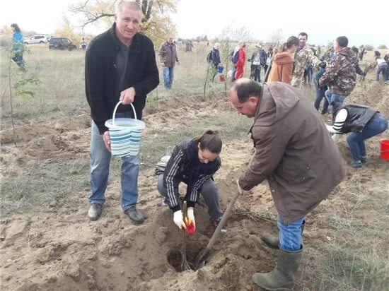 Прогноз погоды усть быстрянская. ООО быстра Усть-Донецкий район. Усть Донецк приняли с травой.